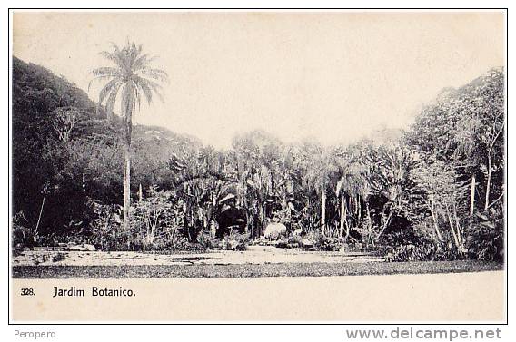 AK BRAZILIEN BRAZIL RIO DE JANEIROJARDIN BOTANICO Nr.328.  PAPELARIA ZENITH RUA DO OUVIDOR 127.  OLD POSTCARD 1910 - Rio De Janeiro