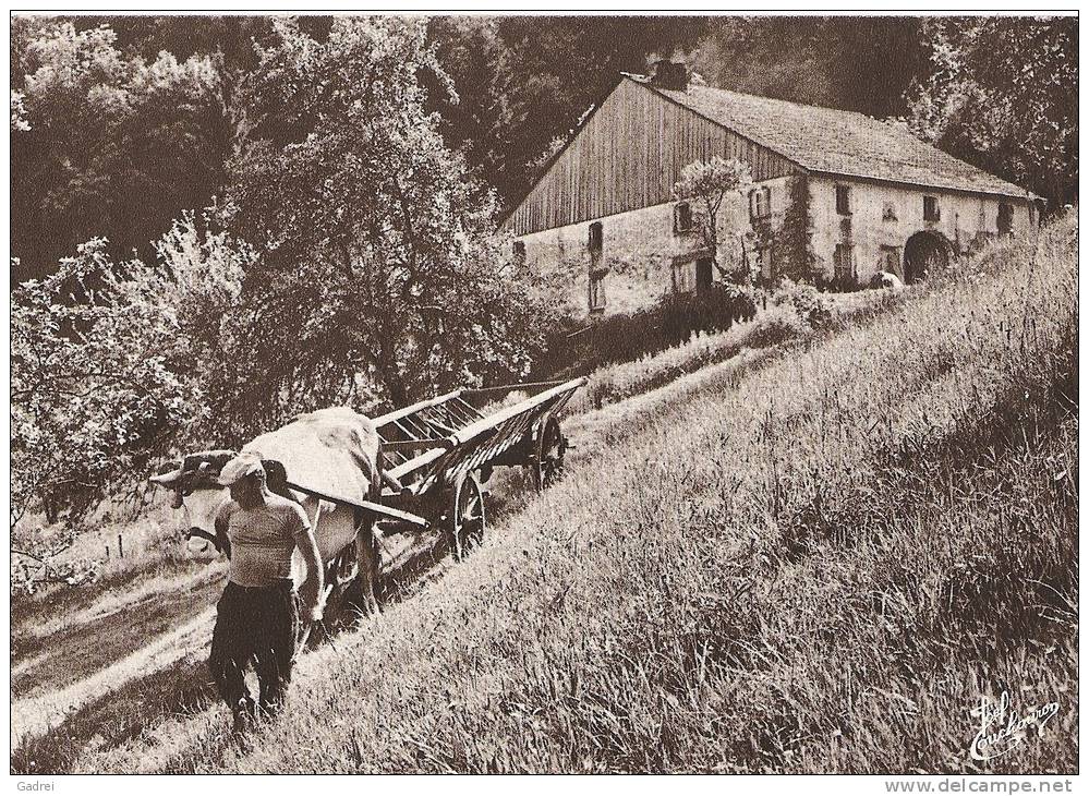 CPM Les Vosges Les Vieux Métiers N°34 La Voiture à Echelles - Other & Unclassified