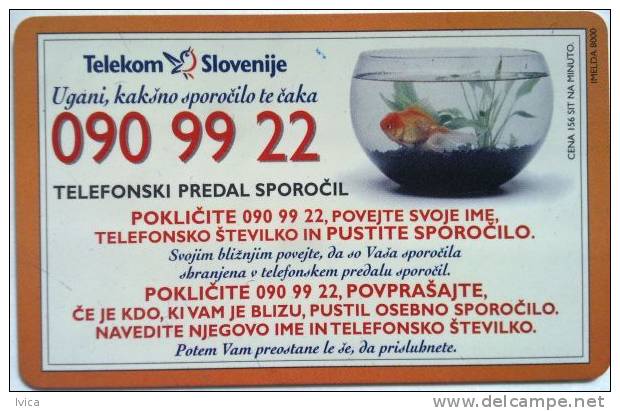 SLOVENIA Butterfly - Slowenien