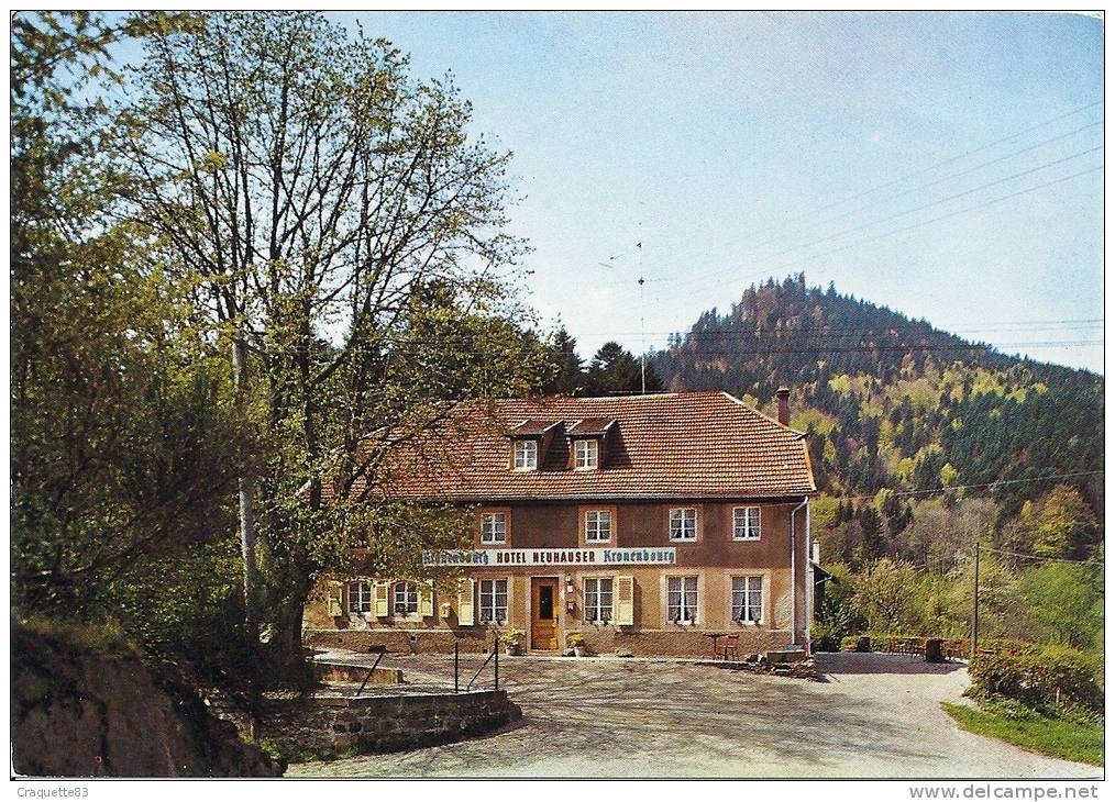 LABROQUE-SCHIRMECK-  HOTEL NEUHAUSER LES QUELLES  Cpsm - La Broque