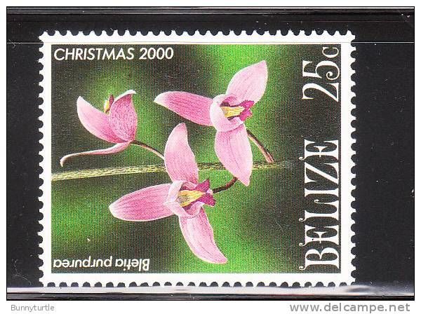 Belize 1990 Orchids 25c MNH - Belize (1973-...)