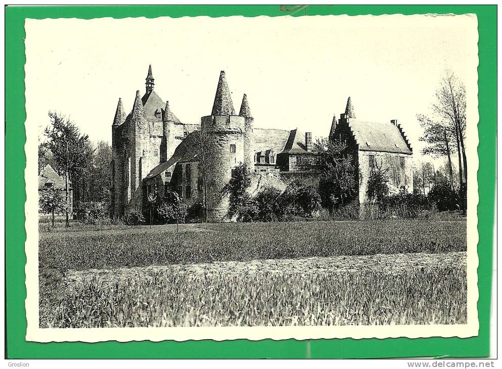 CHATEAU FEODAL DE LAARNE - XII-XV ET XVII SIECLES - Laarne