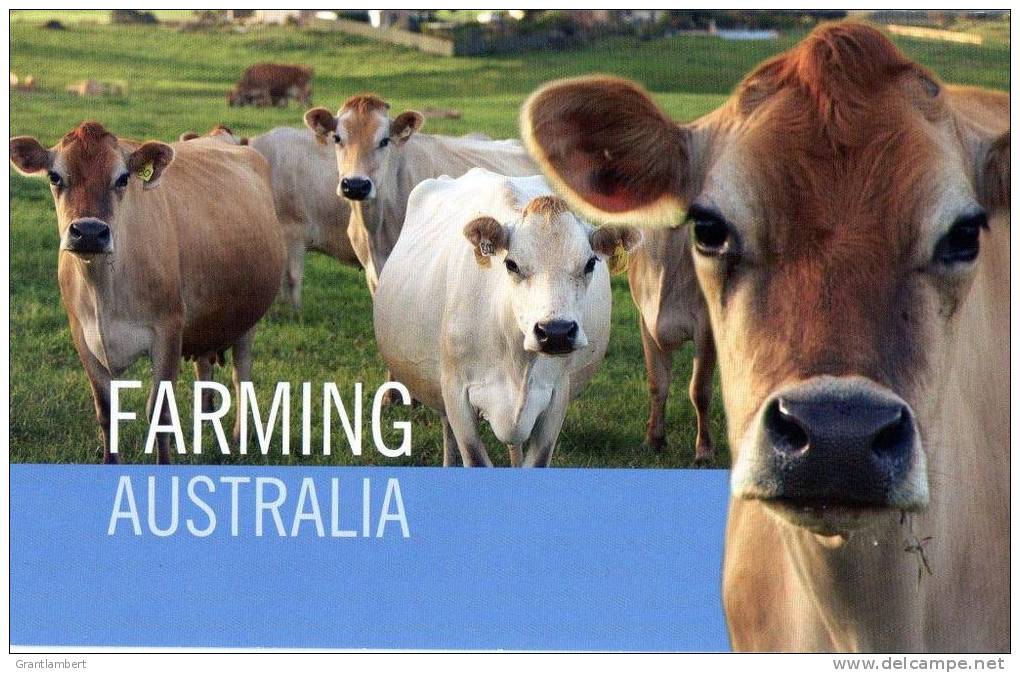 Australia 2012 Farming Presentation Pack - See 2nd Scan - Presentation Packs