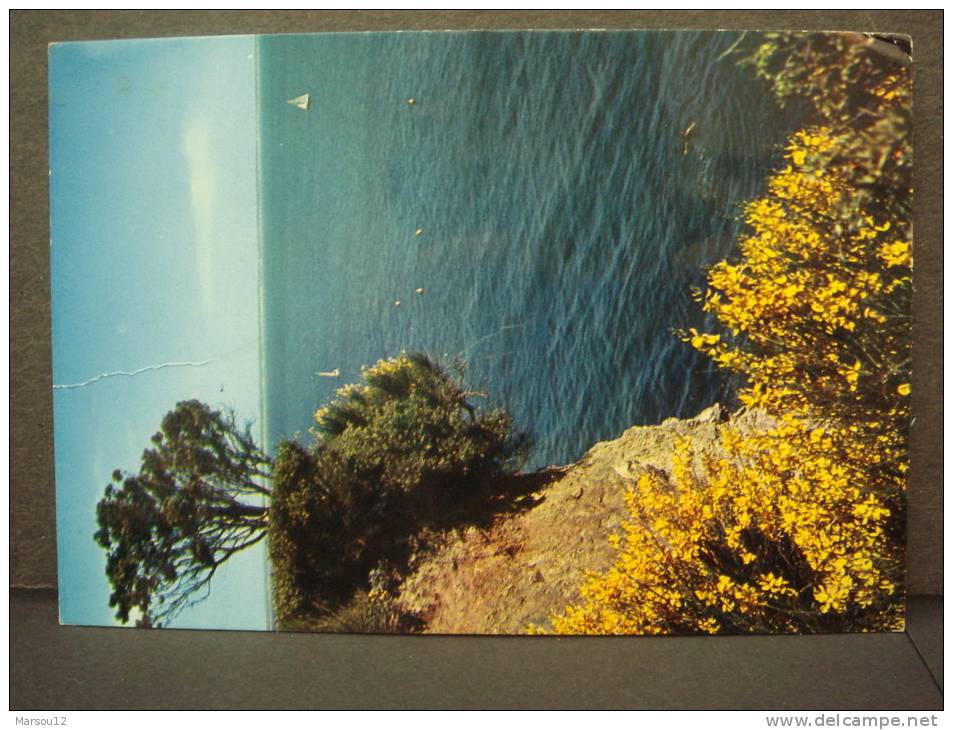 SAINTE MARGUERITE DE PORNICHET Vue Sur La Mer - Autres & Non Classés