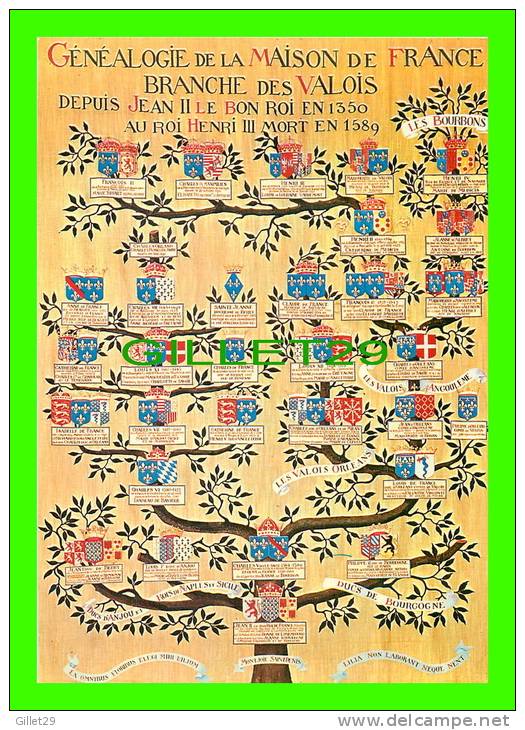 HISTOIRE - GÉNÉALOGIE DE LA MAISON DE FRANCE - BRANCHE DES VALOIS DEPUIS JEAN II LE BON ROI EN 1350 - - Histoire