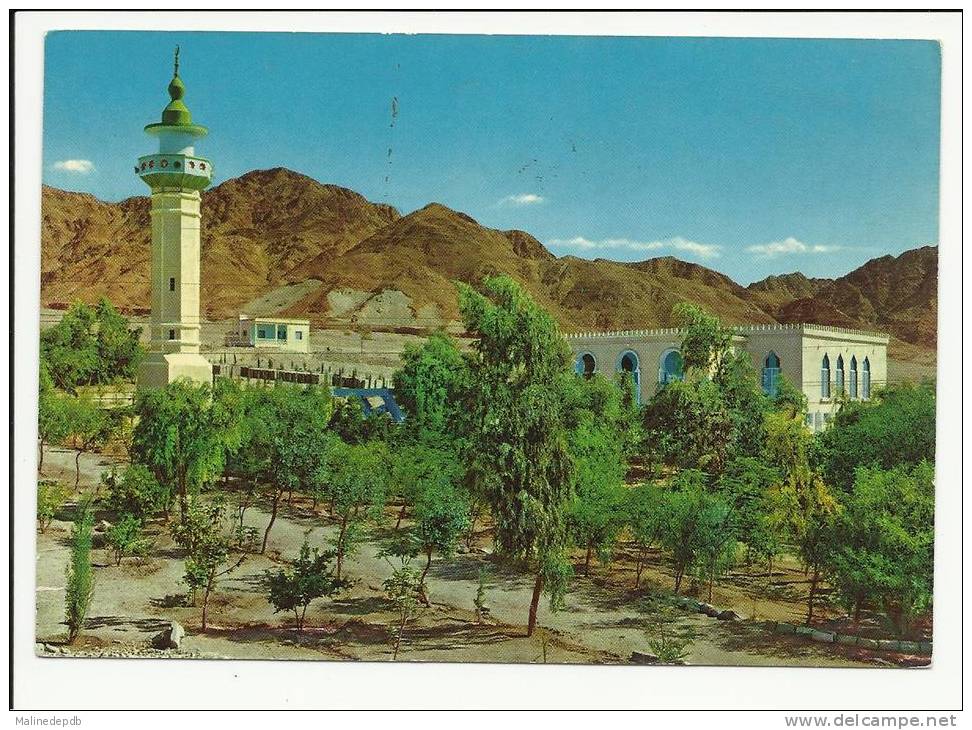 CP - AQABA - La Mosquée Des Chauffeurs - Jordanie