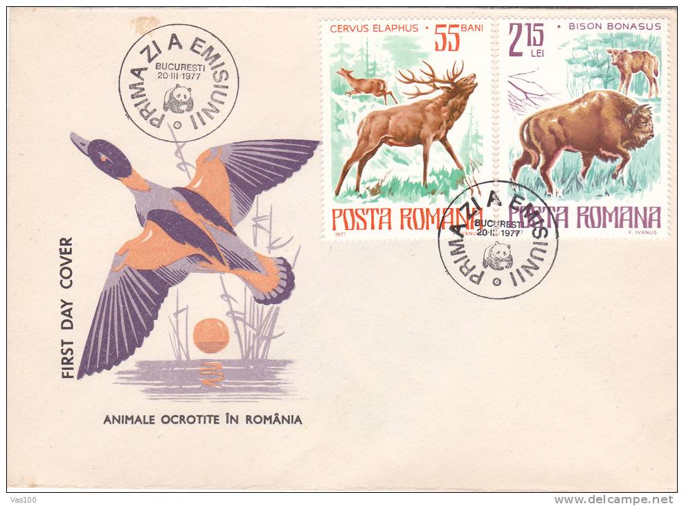 ANIMALS PROTECTED IN ROMANIA, CYGNES, 1977, COVER FDC, ROMANIA - Swans