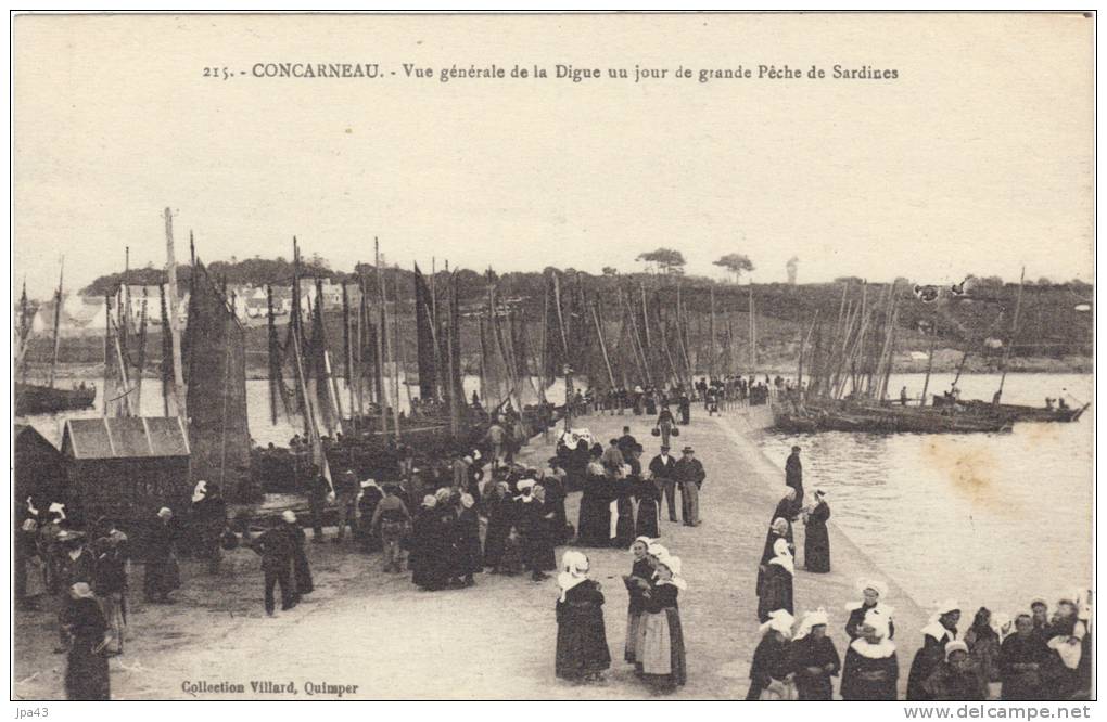 29 CONCARNEAU   Vue Generale De La Digue Un Jour De Grande Peche De Sardines - Concarneau