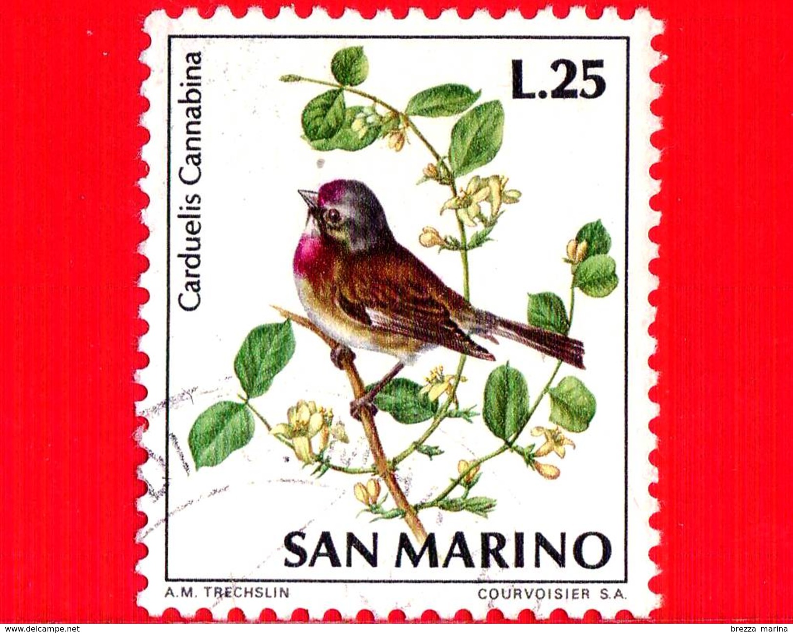 SAN MARINO - Usato - 1972 - Fauna Avicola - 25 L. &bull; Fanello - - Uccelli - Birds - Oiseux - Usados
