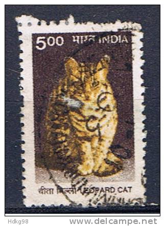 IND+ Indien 2000 Mi 1759 Katze - Usados