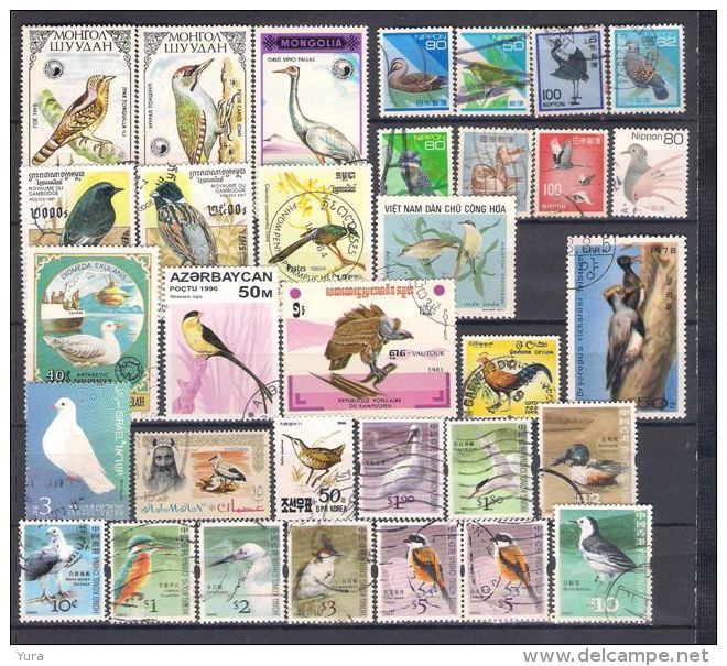 Lot 113 Birds From Asia 33 Different - Autres & Non Classés