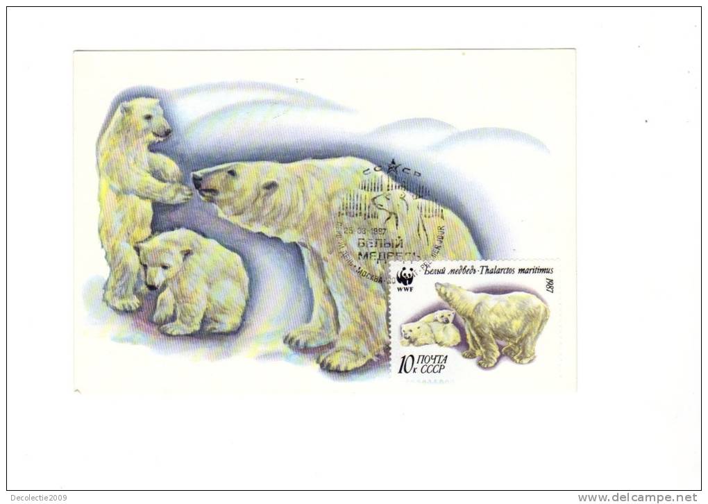 BC61937 Ours Bear Animaux Animals Maximum Carte Maxima Perfect Shape 2 Scans - Bears