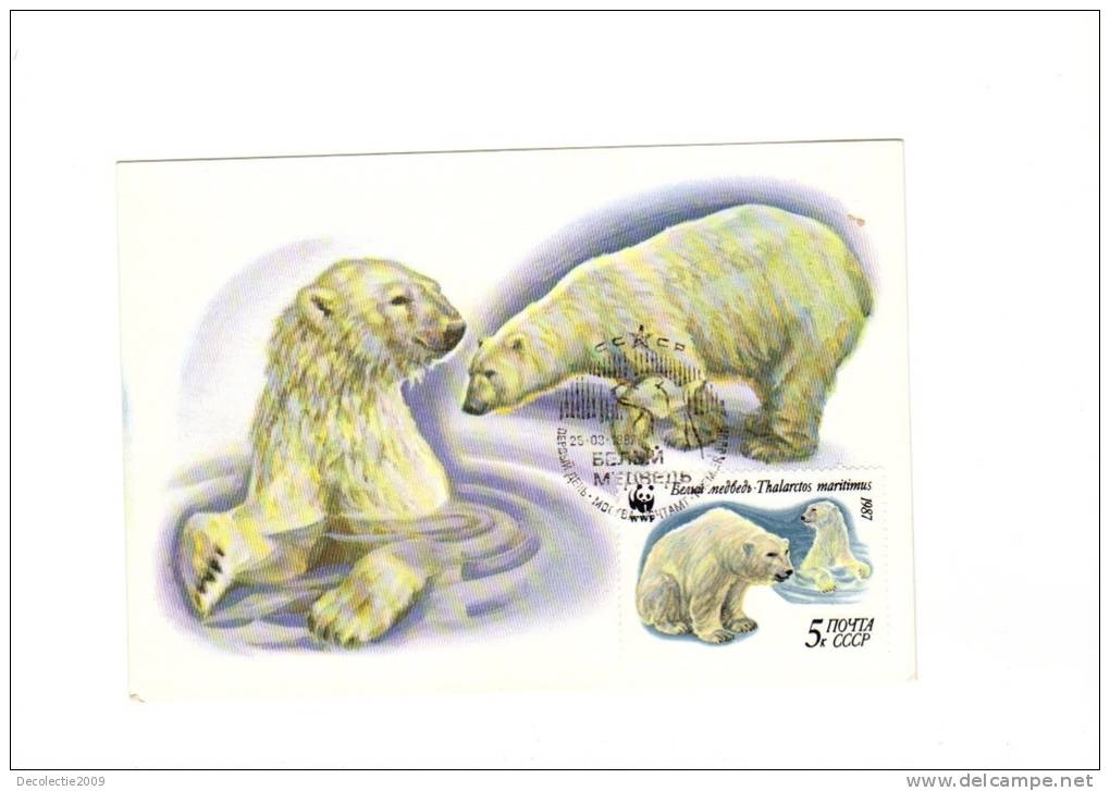 BC61939 Ours Bear Polar Animaux Animals Maximum Carte Maxima Perfect Shape 2 Scans - Ours