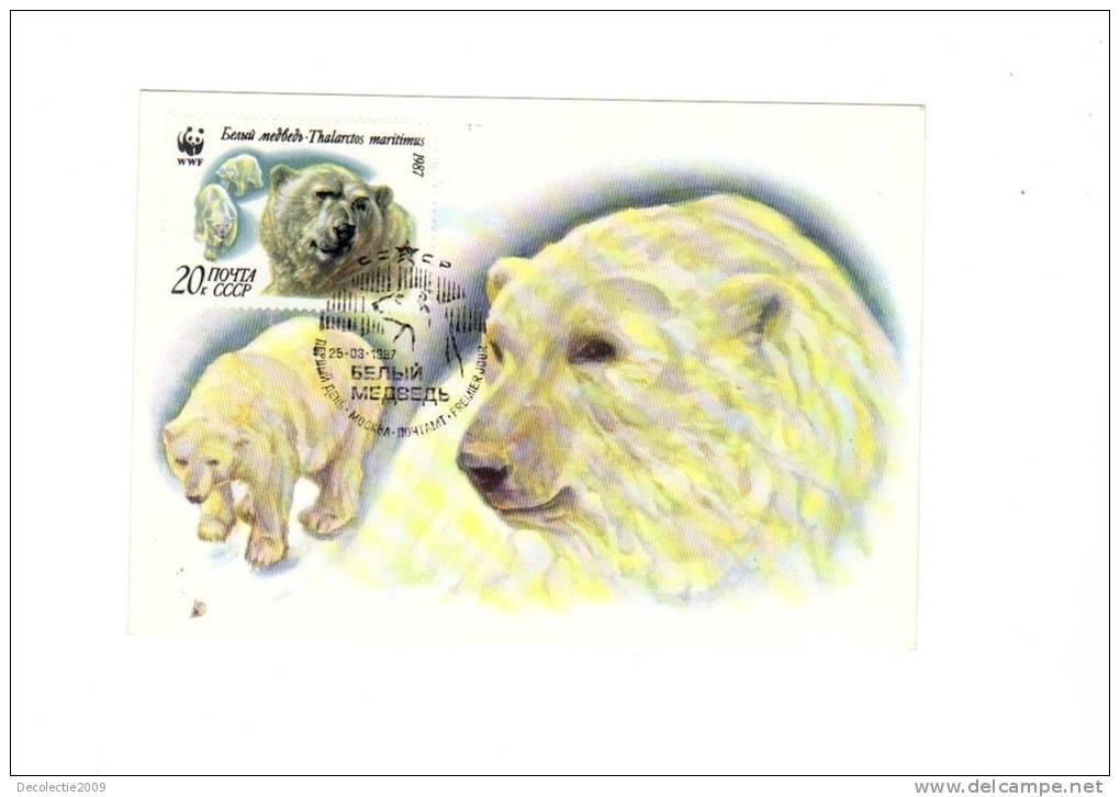 BC61938  Ours Bear Polar Animaux Animals Maximum Carte Maxima Perfect Shape 2 Scans - Bears