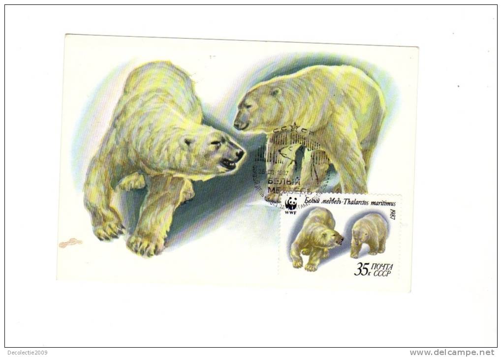 BC61940  Ours Bear Polar Animaux Animals Maximum Carte Maxima Perfect Shape 2 Scans - Bears