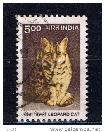 IND+ Indien 2000 Mi 1759 Katze - Used Stamps