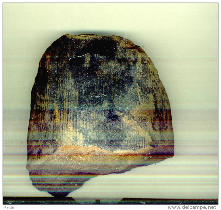 Morceau De Tronc D'arbre Fossilisé Calamite  (Carbonifère Lorraine) 14,50110 X 100 X 55 Mm - Fossiles