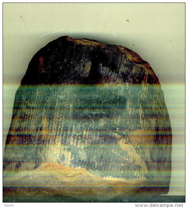 Morceau De Tronc D'arbre Fossilisé Calamite  (Carbonifère Lorraine) 14,50110 X 100 X 55 Mm - Fósiles