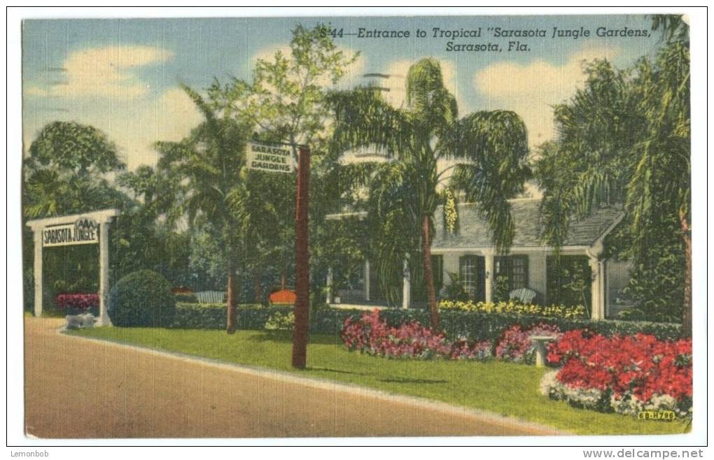 USA, Entrance To Tropical "Sarasota Jungle Gardens", Sarasota, Florida, 1956 Used Linen Postcard [P8462] - Sarasota