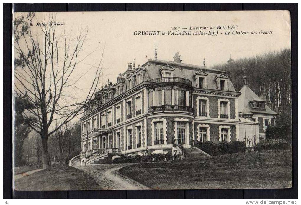 76 - Environs De Bolbec - Gruchet-le-Valasse - Le Chateau Des Genets - Sonstige & Ohne Zuordnung