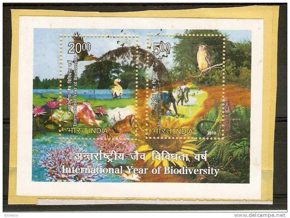 INDIA 2010 BIRDS INTERNATIONAL YEAR OF BIODIVERSITY MINIATURE SHEET COMMERCIALLY FINE USED ON PIECE - Used Stamps