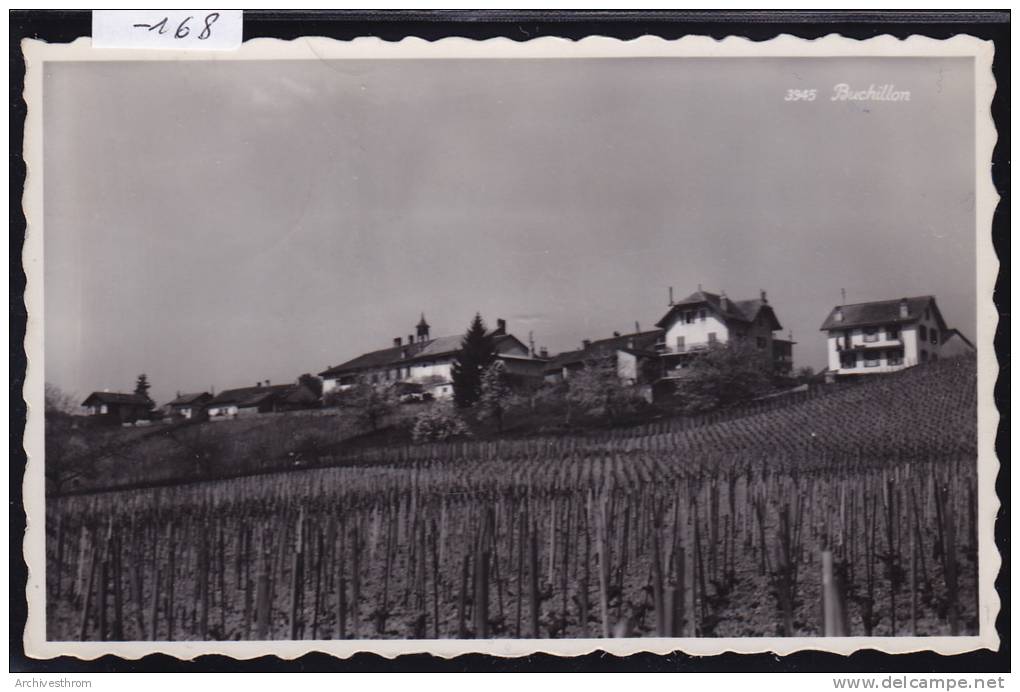 Buchillon Dans Ses Vignes - Vers 1959(-168) - Buchillon