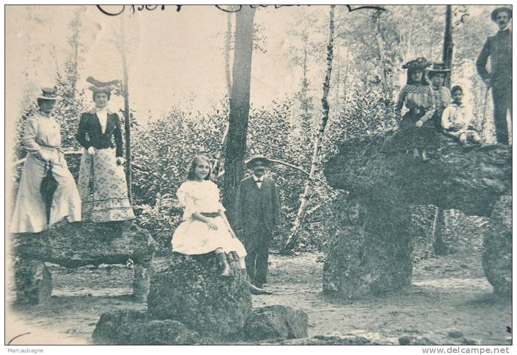 1 CP Forêt De Meudon, Bois De Chaville, Les Menhirs, Animée, Enfant - Dolmen & Menhirs