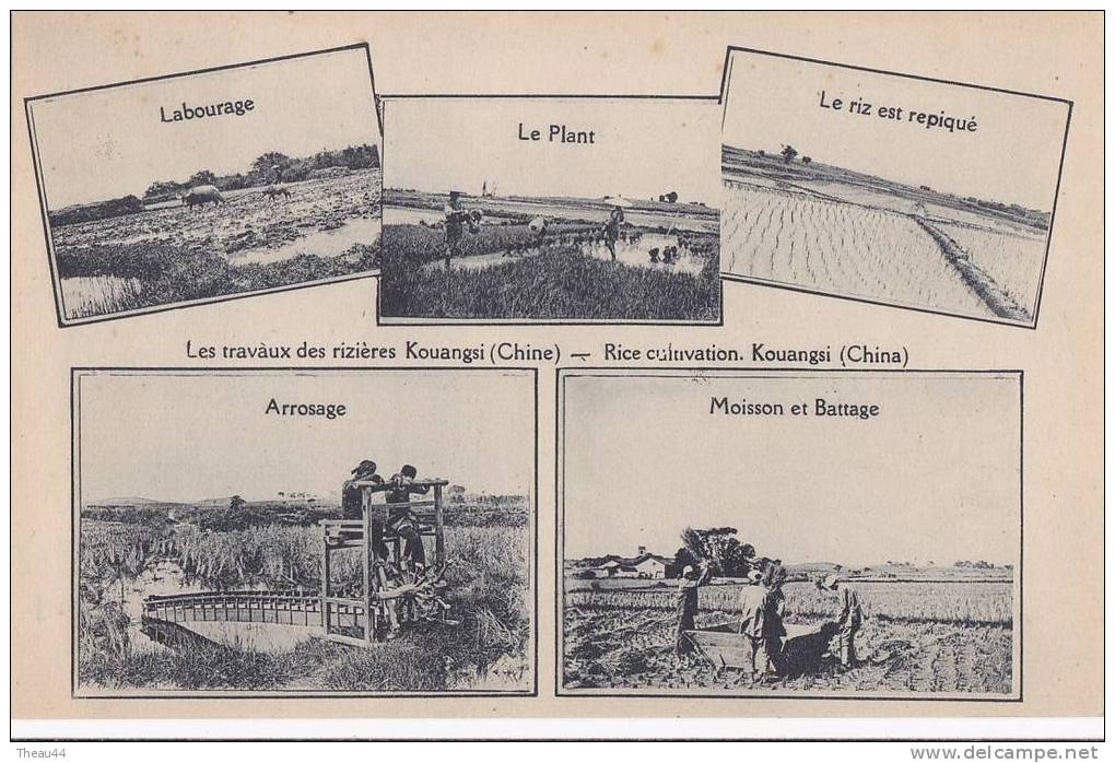 ¤¤  -  KOUANGSI  -  Les Travaux Des Rizières  -  Multivues   -  ¤¤ - Chine