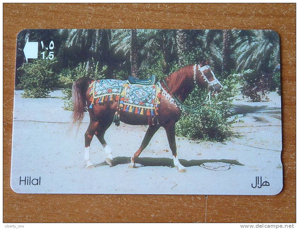 Hilal ( Sultanate Of OMAN ) ! - Chevaux