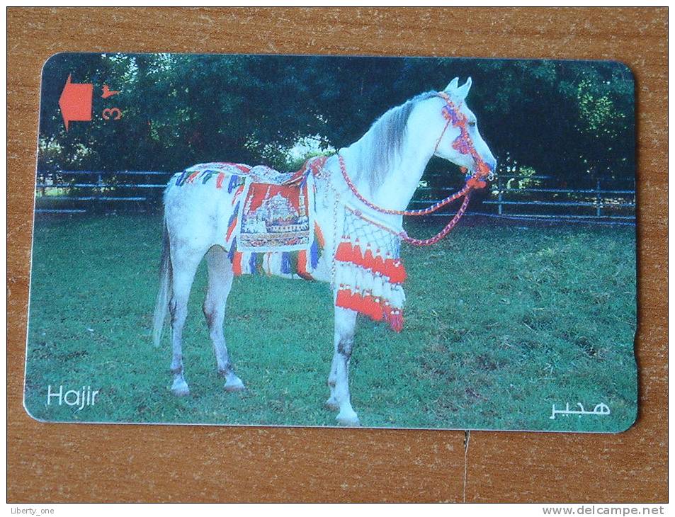 Hajir ( Sultanate Of OMAN ) ! - Horses