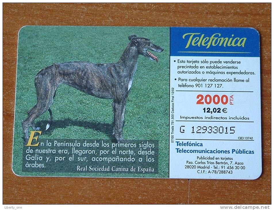 Razaz Caninas Ibericas / Galgo Espanol ( Telefonica Madrid ) ! - Hunde