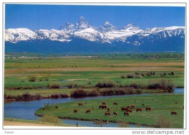 Etats Unis  WyomingTeton Range/Teton River  Eastern Idaho Carte Glacée Recto/v  Non Circulé TBE - Autres & Non Classés