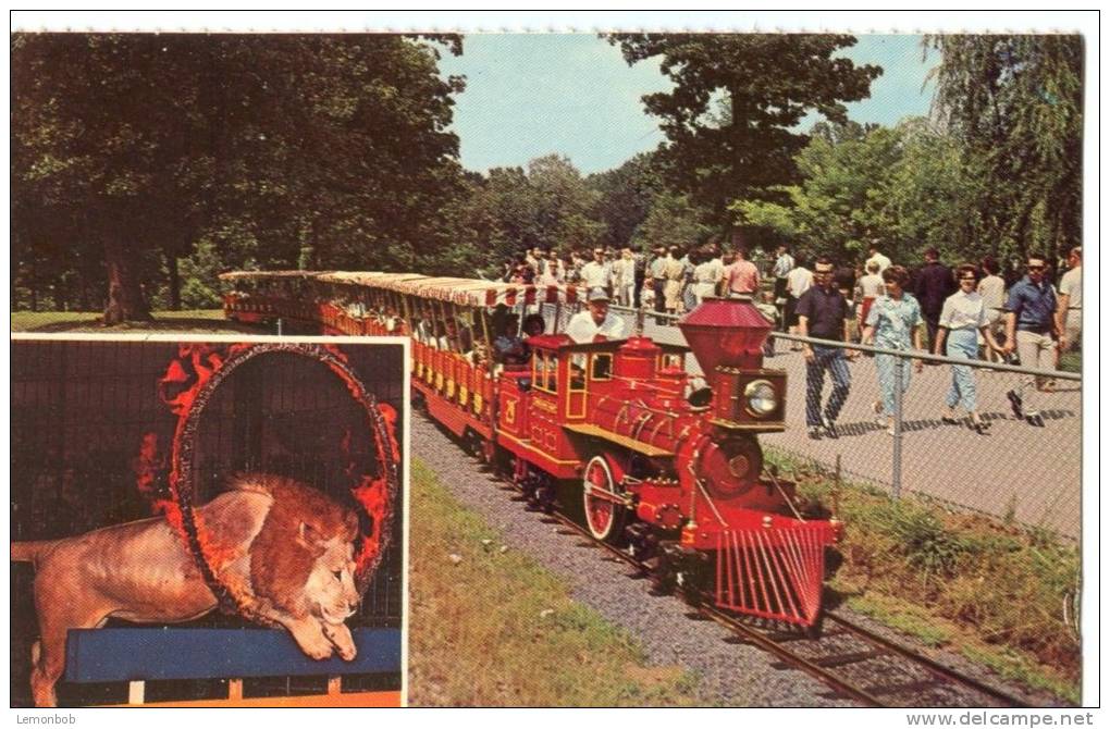 USA, Zooline Railroad, Forest Park, Saint Louis, Missouri, Unused Postcard [P8500] - St Louis – Missouri