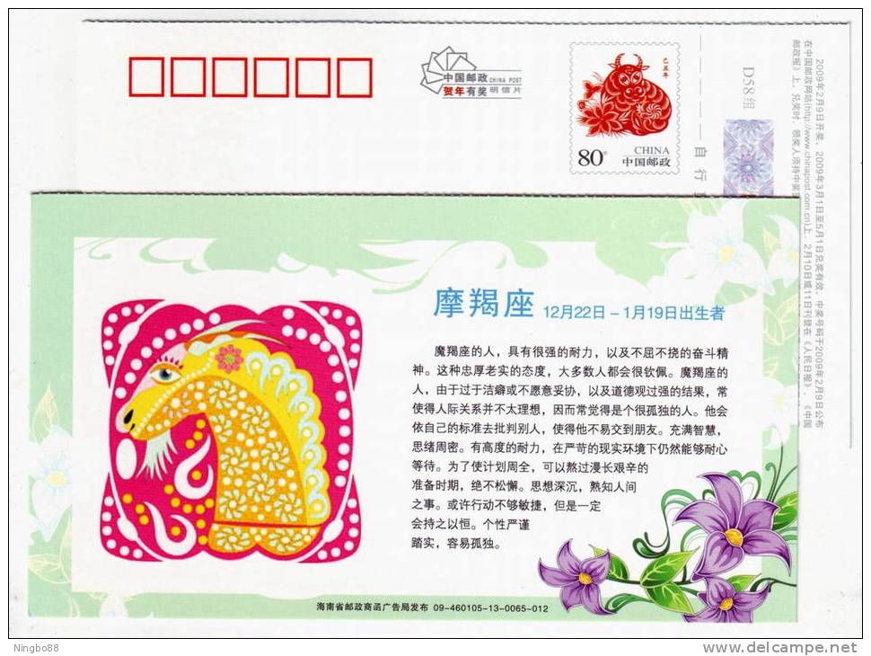 Capricorn Star,Sign Of Zodiac,12 Constellation,flower,China 2009 Hainan New Year Greeting Advert Pre-stamped Card - Astrología