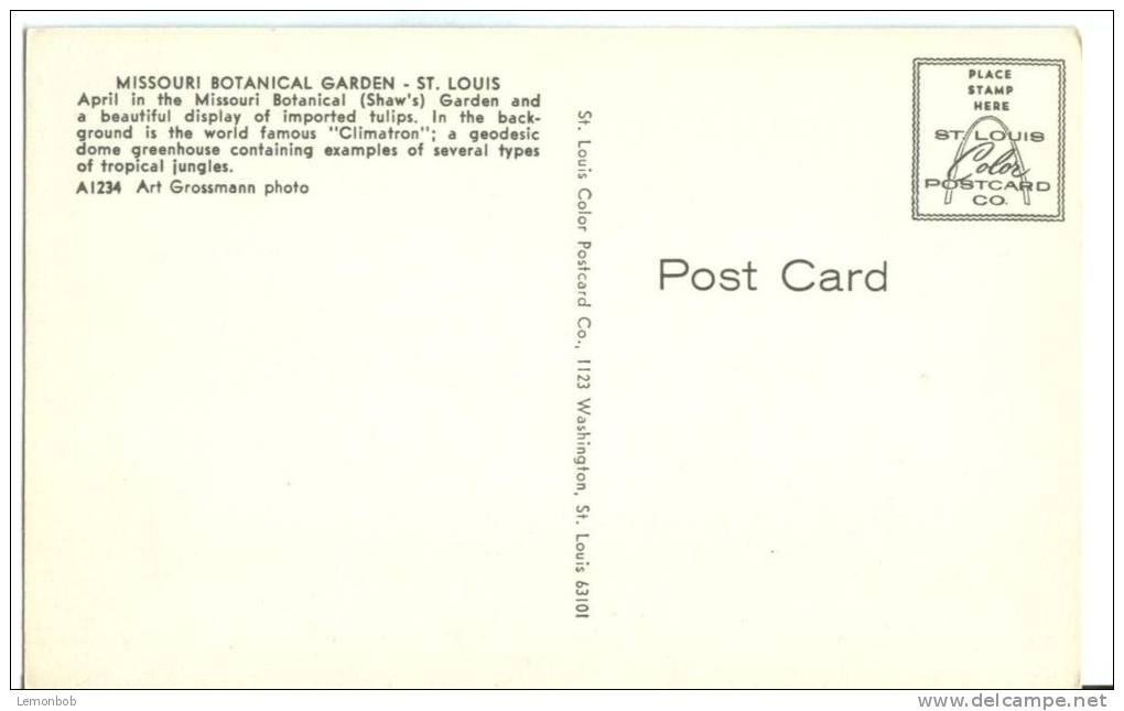 USA, Missouri Botanical Garden, St. Louis, Missouri, Unused Postcard [P8502] - St Louis – Missouri