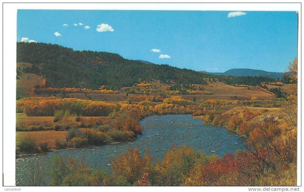 USA, Madison River Near Ennis, Montana, Unused Postcard [P8526] - Other & Unclassified