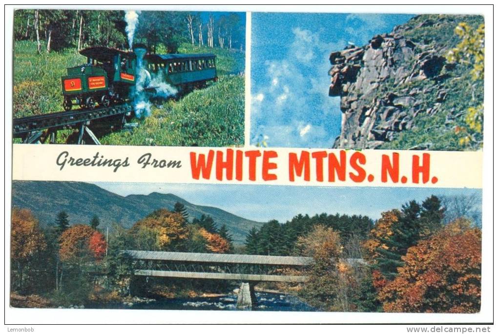 USA, Greetings From White Mountains, New Hampshire, Unused Postcard [P8533] - White Mountains