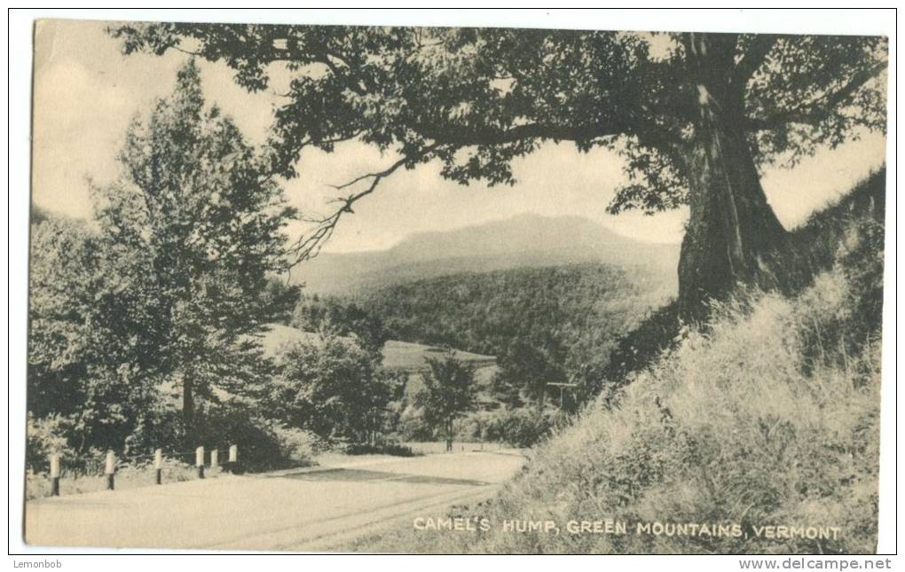 USA, Camel's Hump, Green Mountains, Vermont, Unused Postcard [P8539] - Other & Unclassified