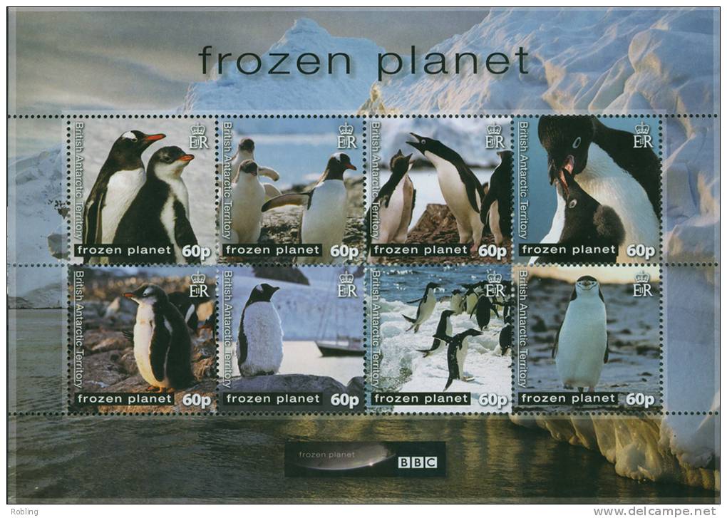 British Antactic Territory 2011, Penguins, MNH 16816 - Pinguïns & Vetganzen