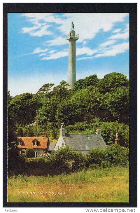 RB 853 - J. Salmon Postcard The Anglesey Column Wales - Anglesey