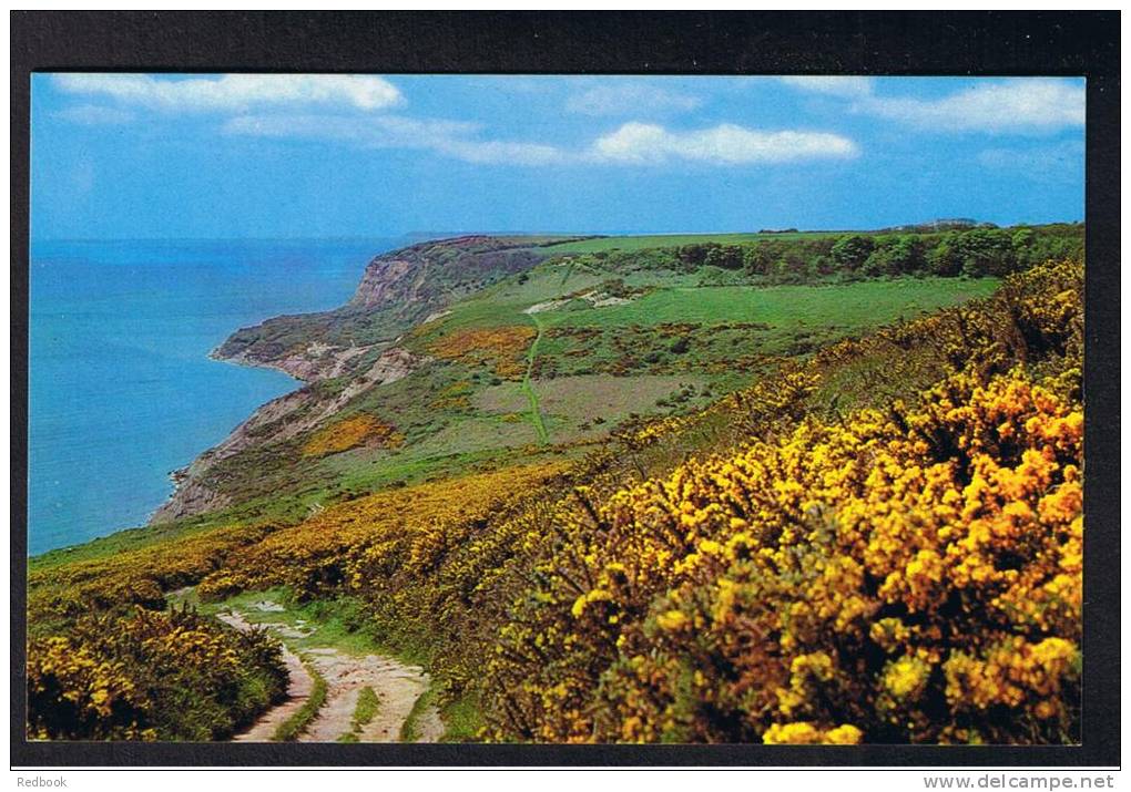 RB 853 - Postcard The Fire Hills Fairlight Near Hastings Sussex - Hastings