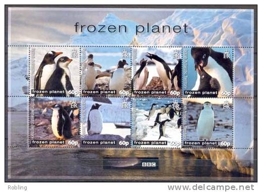 British Antarctic Territory 2009, Penguins, MNH 16820 - Pingouins & Manchots