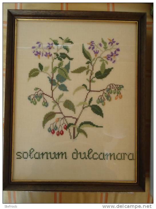 Merklap Op Kaaslinnen "Solanum Dulcamara" - DMC - HANDWERK - Ingekaderd - 25 X 30 Cm - Punto Croce