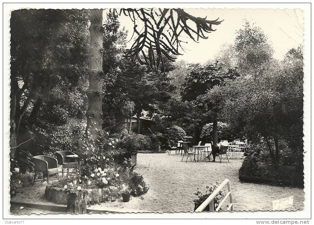 Beg-Meil (29) : Jardin De L'Hôtel Thalamot En 1962 (animée) PHOTO VERITABLE. - Beg Meil