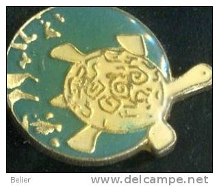 PIN'S TORTUE - Animaux