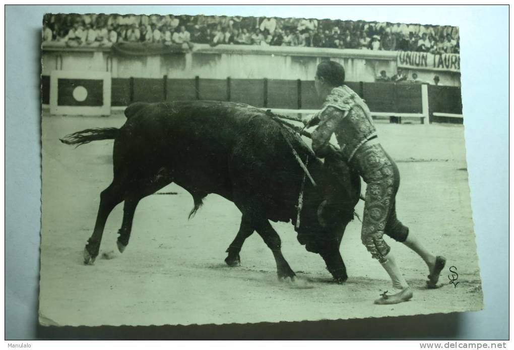 Corrida - Une Très Belle Estocade Exécutée Par Gonzalès - Corrida