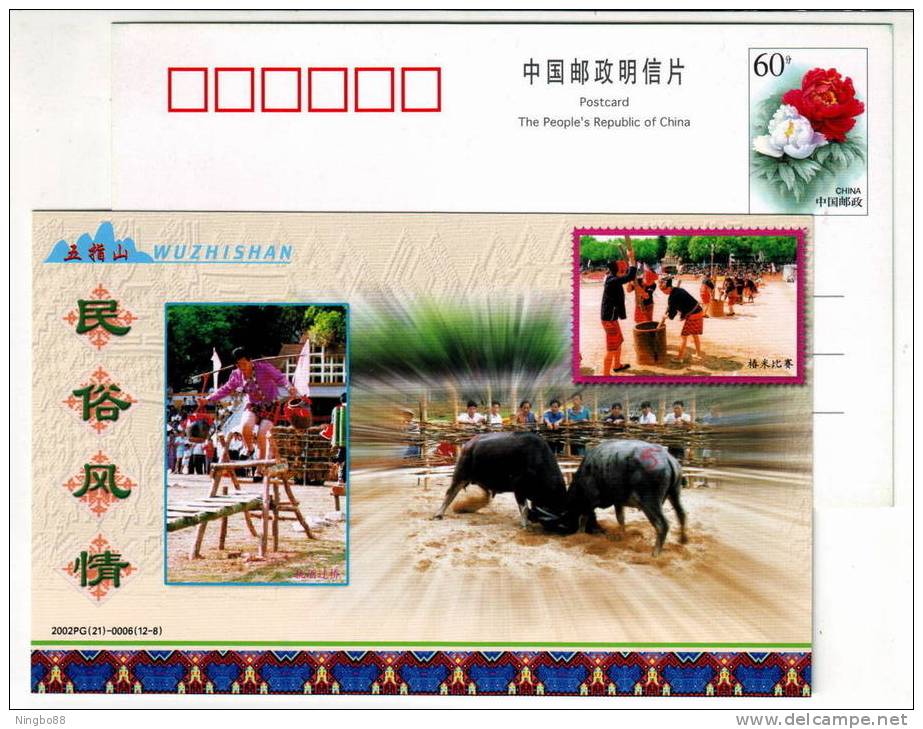 Local Customs,cattle Fighting,rice Husk Contest,China 2002 Wuzhishan Tourism Landscape Advertising Pre-stamped Card - Costumi