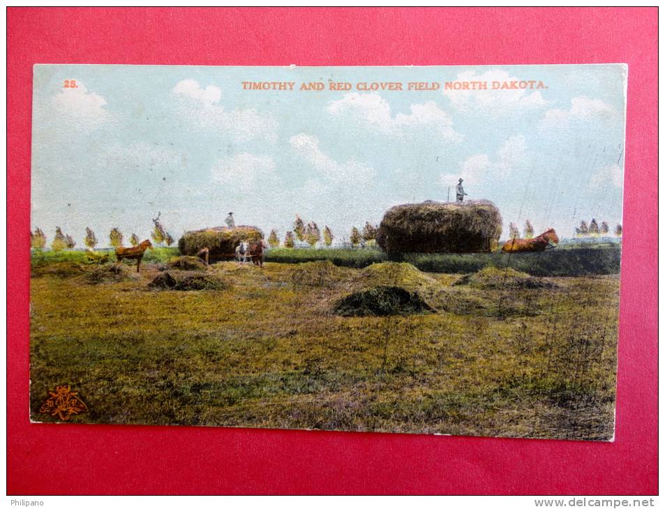 Timothy & Red Clover Field North Dakatoa Cancel Ca 1910 ====   == Ref 465 - Autres & Non Classés
