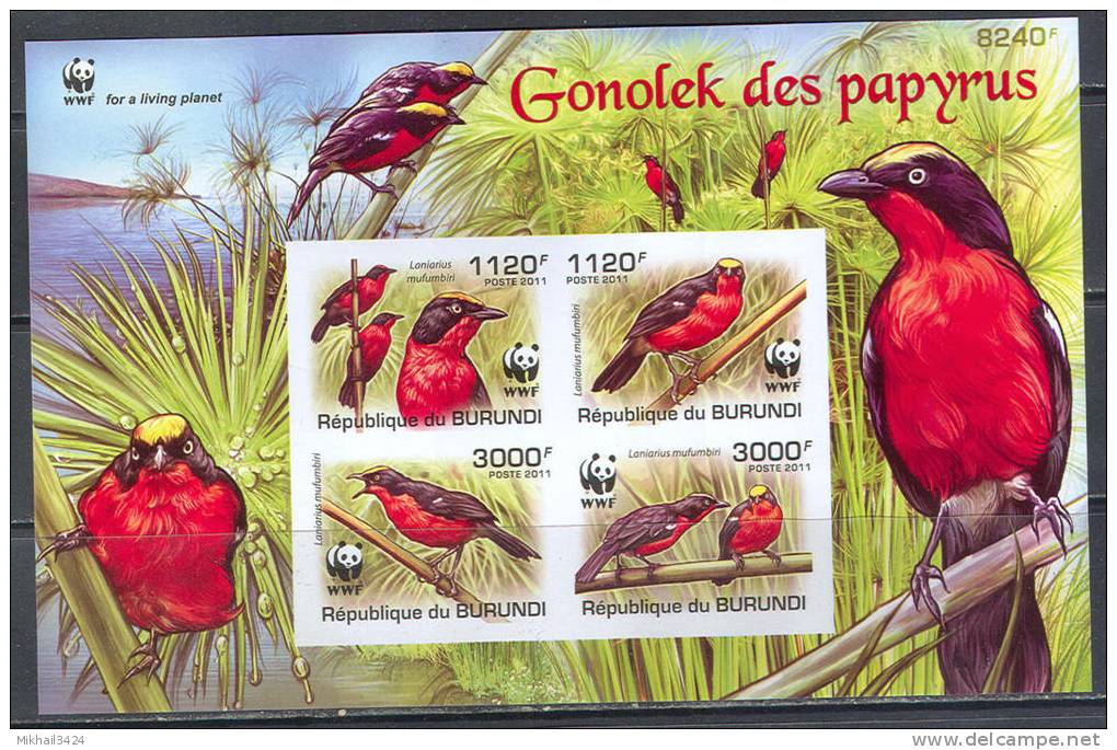 A0235 Birds Vogel WWF 2011 Official Postal Issues Burundi S/s MNH Imperf Imp ** RARE! - Autres & Non Classés