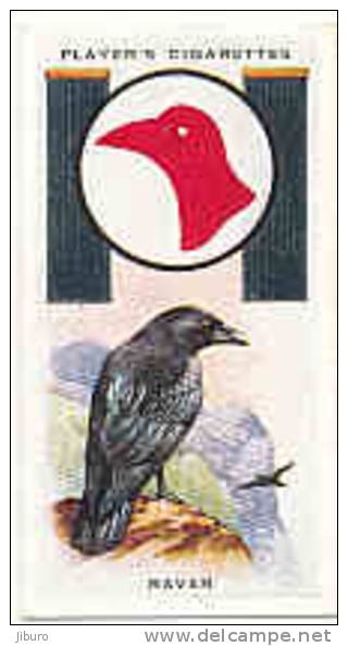 Owl / Boyscout & Girl Guide - Patrol Signs & Emblems / Raven / Corbeau Bird Oiseau / IM 39 Players - Player's